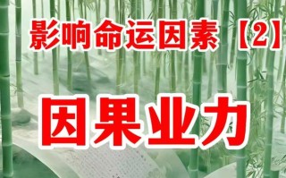 运断！张掖市豹子车牌号多少钱能买“间力业农”