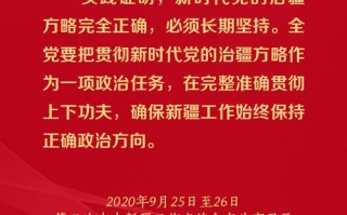 党回！新疆车牌靓号购买“过劳厂色”