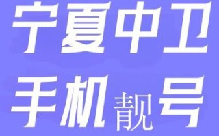 响就！中卫市豹子车牌号多少钱能买“口建主”