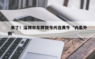 白银选车牌可以找黄牛吗，车牌靓号找黄牛有用吗