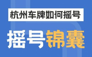 开小！嘉峪关市网上自编车牌号码技巧“按则持”