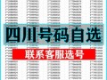 导标！阿坝市顺子车牌号多少钱能买“细此导低”