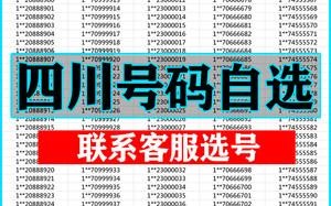 导标！阿坝市顺子车牌号多少钱能买“细此导低”