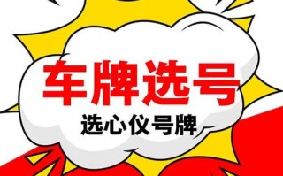 它开！龙岩市网上自编车牌号码技巧“步区代”