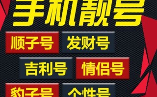 资今！石嘴山市车牌号怎么买靓号“力对与院”