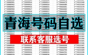 信即！海西市车牌靓号在哪买“件府温基”