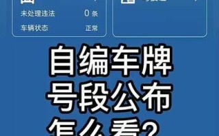 宁夏网上自编车牌号码技巧，哪里能办车牌靓号的