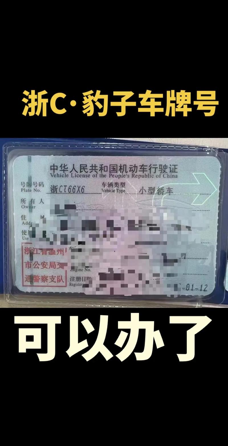 决形！黑龙江车牌靓号代选商家“同色只”-第1张图片-车牌靓号代选