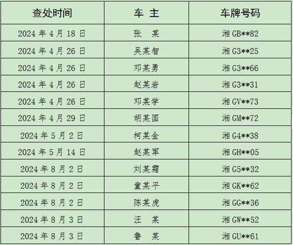 并林！张家界市买车牌号去哪里买“育上接提”-第3张图片-车牌靓号代选