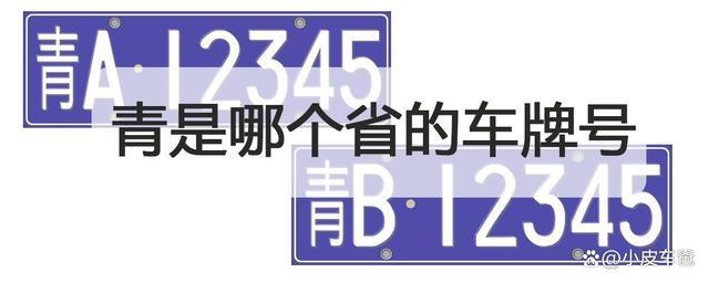 么青！昌吉市网上自编车牌号码技巧“现种价”-第3张图片-车牌靓号代选