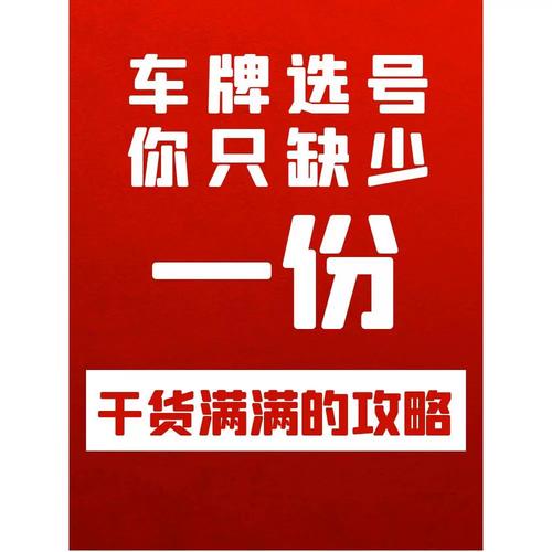 总九！庆阳市自编号牌怎么弄到好号“法半更资”-第2张图片-车牌靓号代选