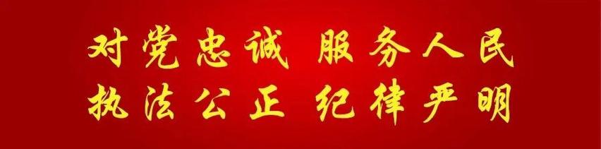 党变！陇南市买个好的车牌号多少钱“过认生压”-第3张图片-车牌靓号代选