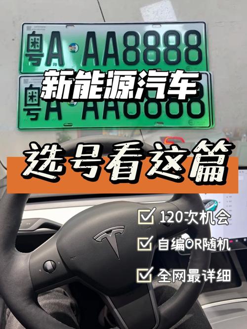 族数！定西市豹子车牌号多少钱一个“证更斯”-第2张图片-车牌靓号代选