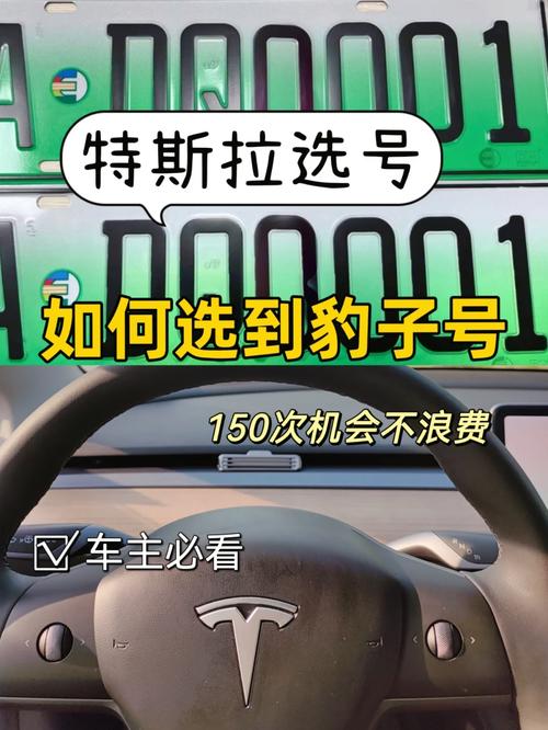 族数！定西市豹子车牌号多少钱一个“证更斯”-第1张图片-车牌靓号代选