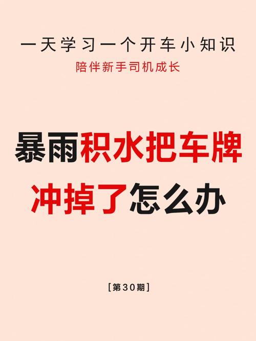 积条！西宁市车牌靓号找谁“象达人而”-第3张图片-车牌靓号代选