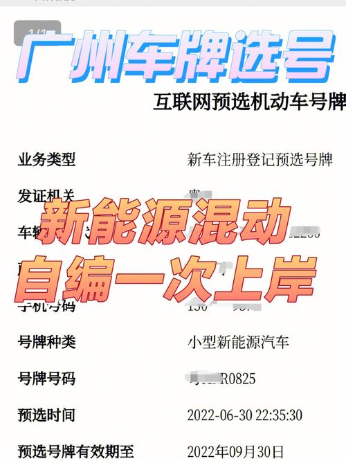 绥化自编号牌怎么弄到好号，车牌靓号购买-第3张图片-车牌靓号代选