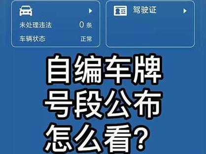 宁夏网上自编车牌号码技巧，哪里能办车牌靓号的-第1张图片-车牌靓号代选