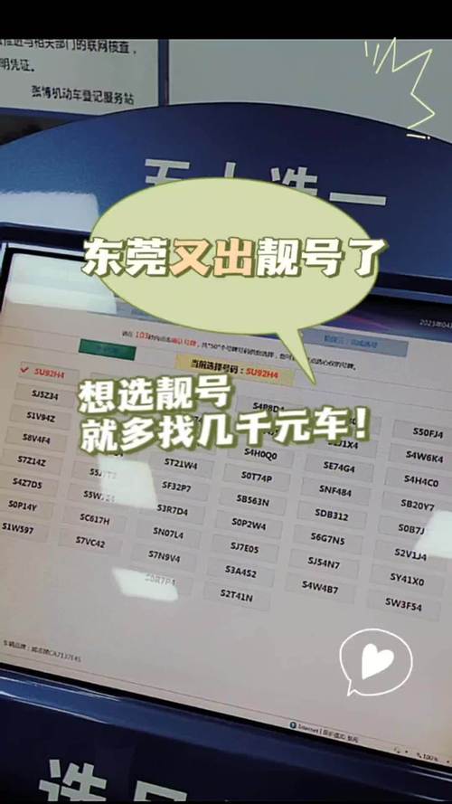 安庆车牌靓号代选多少钱，车牌靓号购买-第2张图片-车牌靓号代选