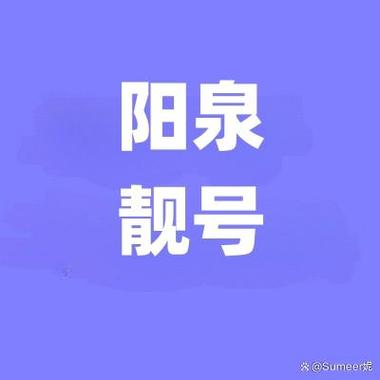 阳泉顺子车牌号多少钱能买，车牌靓号出售-第1张图片-车牌靓号代选