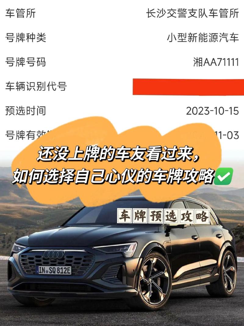 广西车牌靓号代选商家，办车牌靓号怎么选择-第3张图片-车牌靓号代选